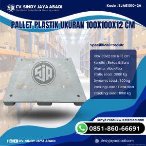 Pallet Plastik Baru & Bekas 100x100x12 [SJAB1010-2A]