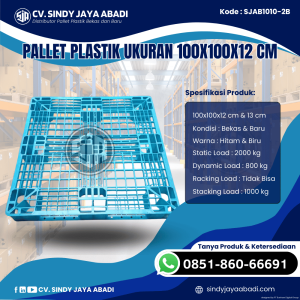 Pallet Plastik Baru & Bekas 100x100x12 [SJAB1010-2B]